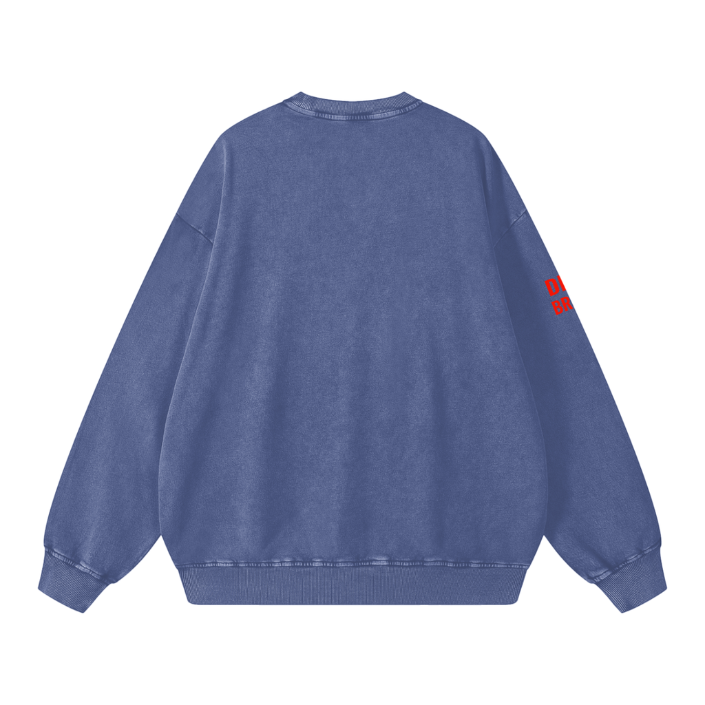 Snow Washed Oversized Sweatshirt